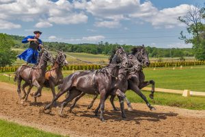 How to Horse Racing Tips India: Pro Tips to Win in India (2026)