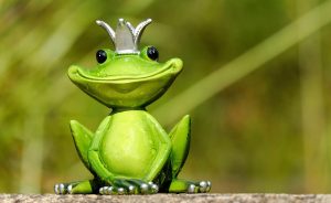 Fastest Satta King App Download: Step-by-Step Guide for India (2026)